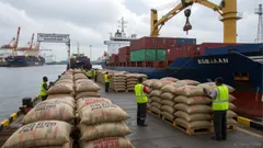 Cocoa Market Volatility in West Africa: Navigating Supply Chain Disruptions and Policy Interventions