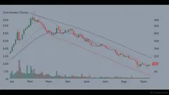 Terrestrial (IMSR.O) Sees Sharp Intraday Drop: What's Behind the Move?