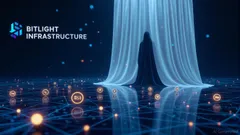 Bitlight ($HACHI): Navigating DeFi Infrastructure and Token Utility in 2025