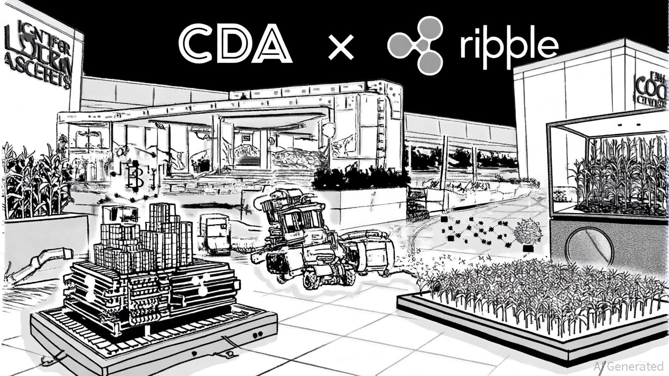 UC Berkeley's Digital Asset Hub and the Strategic Potential of RLUSD Stablecoin in Higher Education and DeFi: A New Era of Institutional Adoption and Financial Innovation
