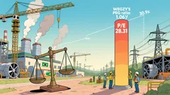 WEGZY: A High-Risk Overvalued Stock Despite Strong Fundamentals