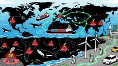 Whale-Driven Commodity Cycles: Gold, Silver, and the Hidden Risks of Blue Economy Sectors