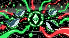 Ethereum Whale Activity as a Leading Indicator for ETH Price Momentum