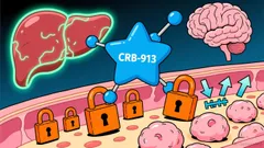 Corbus Pharmaceuticals' CRB-913: A Breakthrough in Obesity Drug Development?