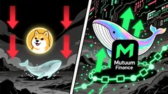 Why Dogecoin Investors Are Shifting to Mutuum Finance (MUTM) as a High-Potential DeFi Alternative
