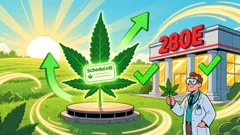 The Trump Marijuana Reclassification: A Catalyst for Cannabis Stock Valuation Rebound?