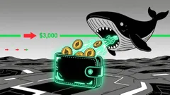 Why Ethereum's Quiet Accumulation Phase Signals a Looming Breakout in 2026