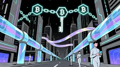 The Dual Momentum of Zero-Knowledge Proofs: Short-Term Speculation and Long-Term Infrastructure Potential in 2025