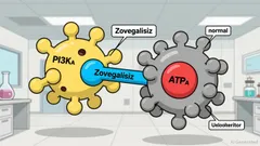 Can Zovegalisib Reshape Relay Therapeutics' Oncology Narrative Through Clinical Differentiation and Market Opportunity?