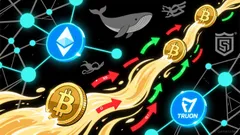 Capturing Steady Gains in a Volatility-Declining Crypto Market