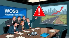 Is Watches of Switzerland Group (LON:WOSG) Undervalued or Over-Risked Amid Stagnant Earnings and Volatile Share Price?