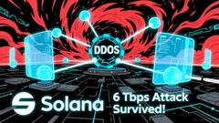 Solana's Resilience Under DDoS Attack and Its Implications for Long-Term Value