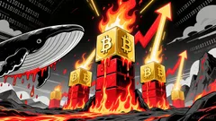 The Strategic Implications of Whale Activity and Long-Term Bitcoin Accumulation