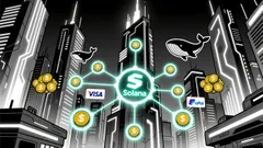 Solana Whale Accumulation and Market Implications: A Bullish On-Chain Narrative
