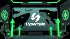 HYPE's Whale Activity and Market Dynamics: A Contrarian Case for Strategic Accumulation