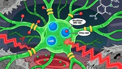 MN-166's Emerging Role in CIPN Prevention: A Strategic Opportunity for MediciNova