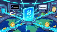 Valuing Circle's Emerging Financial Infrastructure Play in a Crypto-Integrated World