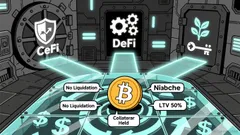 Strategic Liquidity Without Selling: Evaluating the Most Trusted Bitcoin-Backed Loan Platforms in 2025