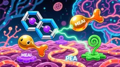 Clearmind Medicine: A High-Potential Biotech Play in the Psychedelic Therapeutics Space