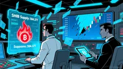 Shiba Inu (SHIB): Accumulation Surge and Potential Breakout Amid Price Correction