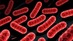 Ground Beef Recall Sparks Investor Concerns Over E. coli Contamination and Food Safety