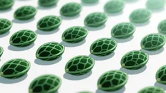 Strategic Seed Innovation in Cannabis: How Organigram and Phylos Are Pioneering a Cost-Effective, Global-Ready Model