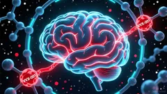 Vanda Pharmaceuticals shares surged 25.46% pre-market on partnership and FDA progress