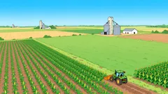 Grain Rally: A Structural Shift from Oversold to New Trend