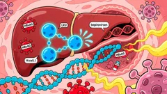 GSK's Bepirovirsen and the Path to a Hepatitis B Functional Cure: Strategic Pipeline Value and Revenue Potential in a High-Unmet-Need Market