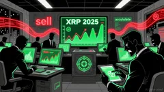 Decoding XRP's Market Divergence: Can Whale Activity Signal a Reversal or Deepening Correction?