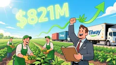 Tilray Brands (TLRY): Navigating Uncertainty Amid Strategic Progress and Analyst Skepticism