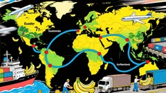 BANANA: Strategic Buying Opportunity Amid Key Support Holding and Emerging Supply Chain Tailwinds