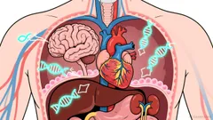 Alnylam 2030: Building the RNAi Compute Layer for Medicine's Next Paradigm