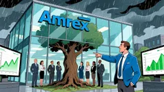 American Express: A Value Investor's View on a Regulatory Selloff