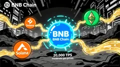 BNB Chain's 2025 Growth and Ecosystem Stability: A Strategic Entry Point for Long-Term Crypto Investors
