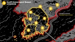 The South Korean Crypto App Crackdown and Its Global Investment Implications