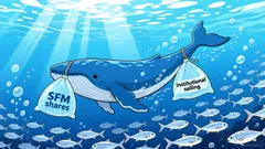 Penn Davis's SFM Bet: A Whale's Skin in the Game or a Trap?