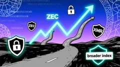 Privacy Coins: Rally or Rumble?