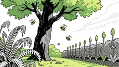 Why Mutuum Finance (MUTM) Outperforms XRP and BNB for High-Return Crypto Allocations