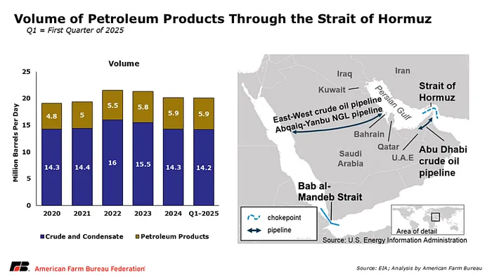 Trump's "Messy Middle" Strategy, Why the Hormuz Blockade will be a Global Inflation Trap