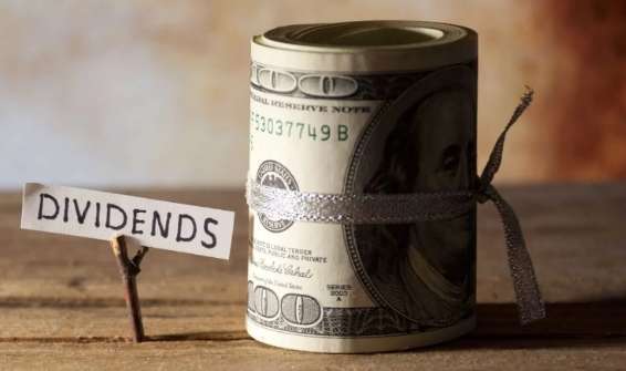 The Power of Dividends: How Small Payments Can Lead to Big Gains - Article cover image