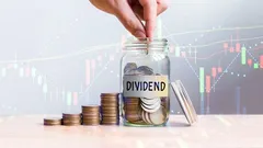 The Power of Dividends: How Small Payments Can Lead to Big Gains