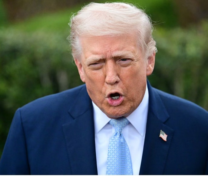 Stock Market Jumps After Trump Postpones Iran Strikes, Signals 'Very Productive' Talks as Oil Tumbles - Article cover image