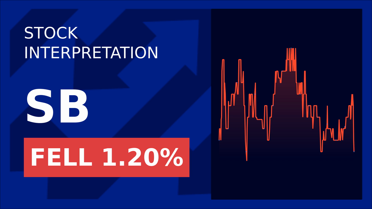 Safe Bulkers Shares Surge 3.91% Post-Q1 2025 Results!