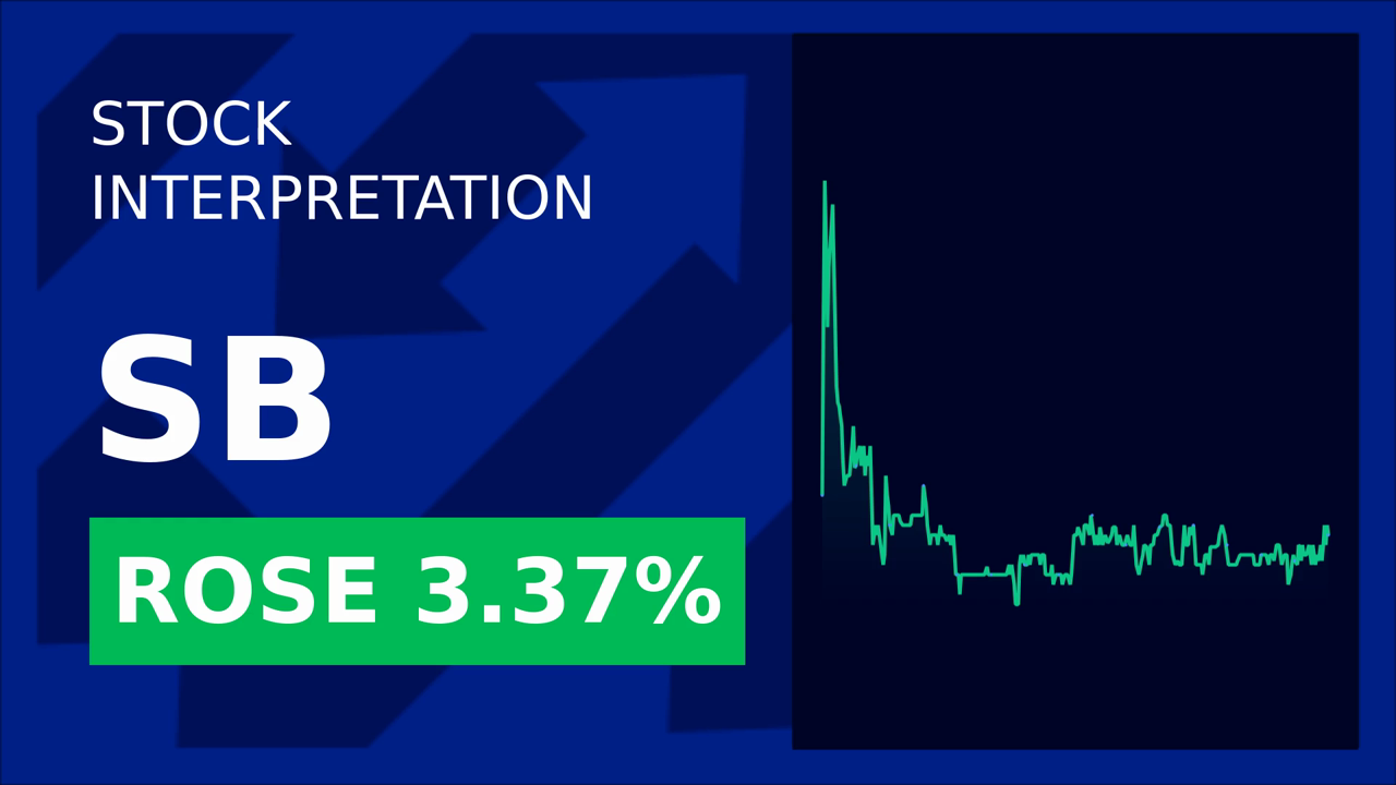 Safe Bulkers Stock Surges 1.69% Post-Q1 2025 Earnings!