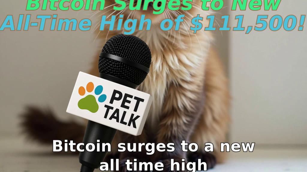Bitcoin Surges to New All-Time High of $111,500!