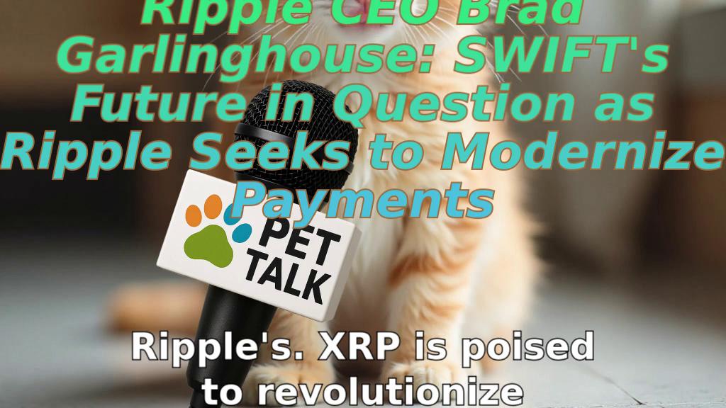 Ripple CEO Brad Garlinghouse: SWIFT's Future in Question as Ripple Seeks to Modernize Payments