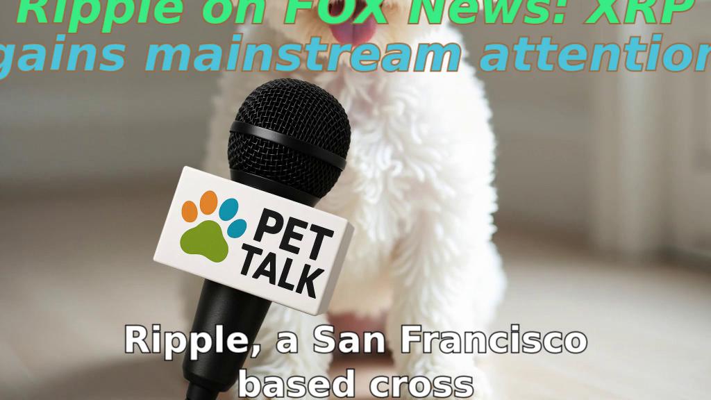 Ripple on FOX News: XRP gains mainstream attention