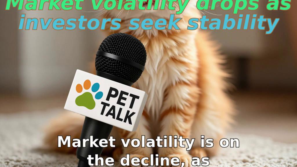Market volatility drops as investors seek stability