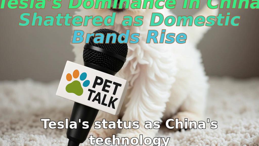 Tesla's Dominance in China Shattered as Domestic Brands Rise